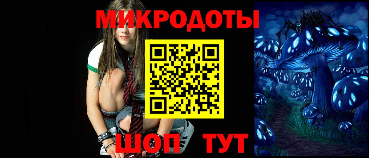 Псилоцибиновые грибы Psilocybe Дзержинск