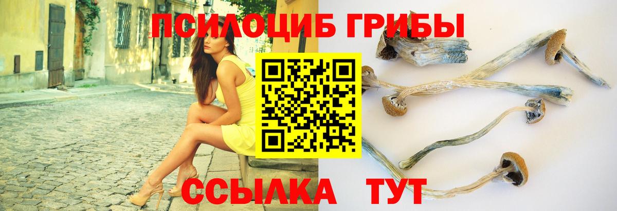 Галлюциногенные грибы Psilocybe  купить   Галлюциногенные грибы ЛСД  Дзержинск  Вход с VPN 